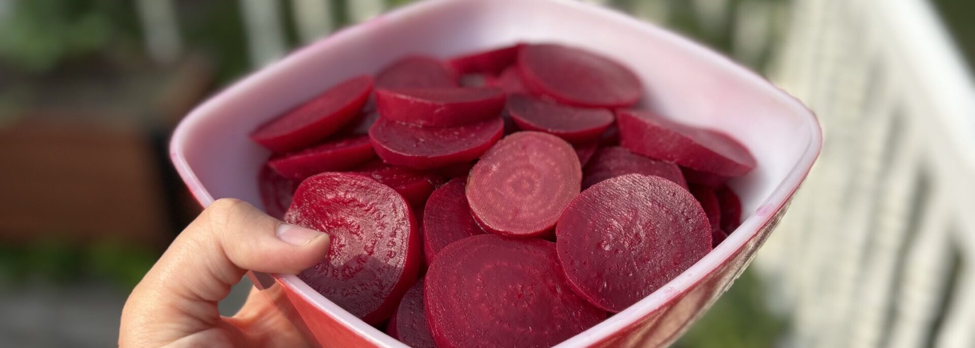 Pickled Beets