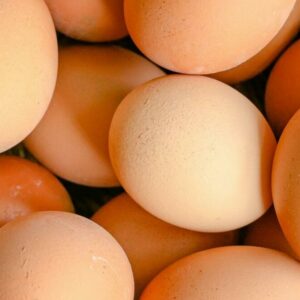 Free Range Eggs