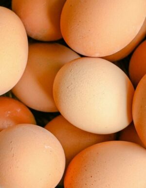 Eggs