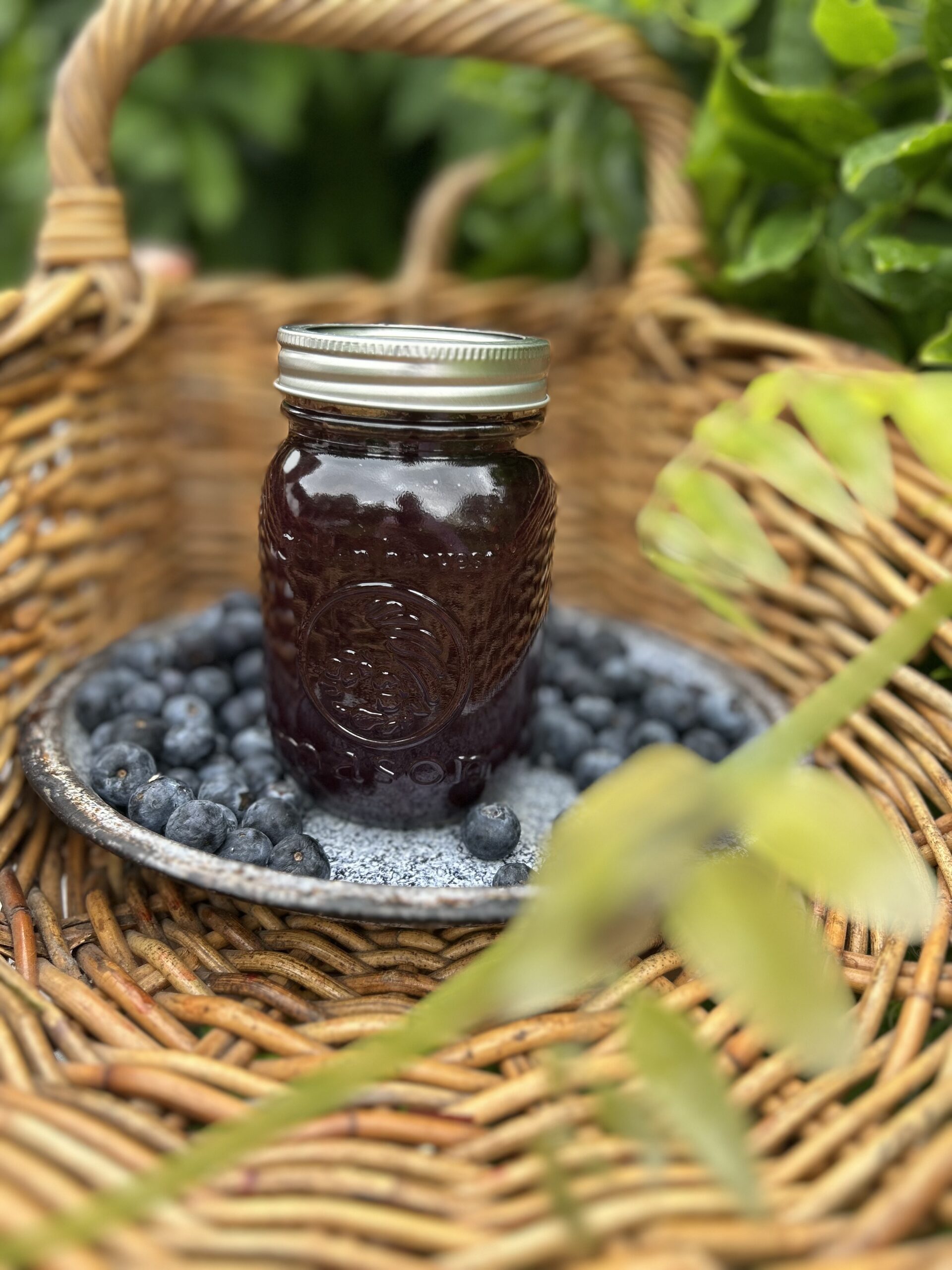 Blueberry